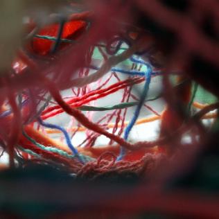 Detalle de texturas de Cuerpo-oreja - 2014