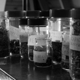 Componentes rescatados de plaquetas electrónicas