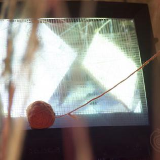 La flor imposible - ENLACES 2013