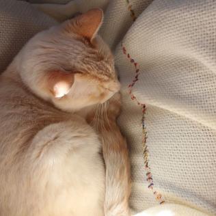 Manta tejida en telar