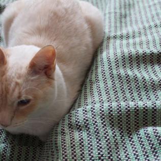 Manta tejida en telar