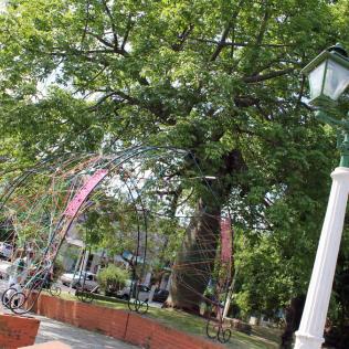 Tejido de estructuras en la plaza del avión - Taller de integración
